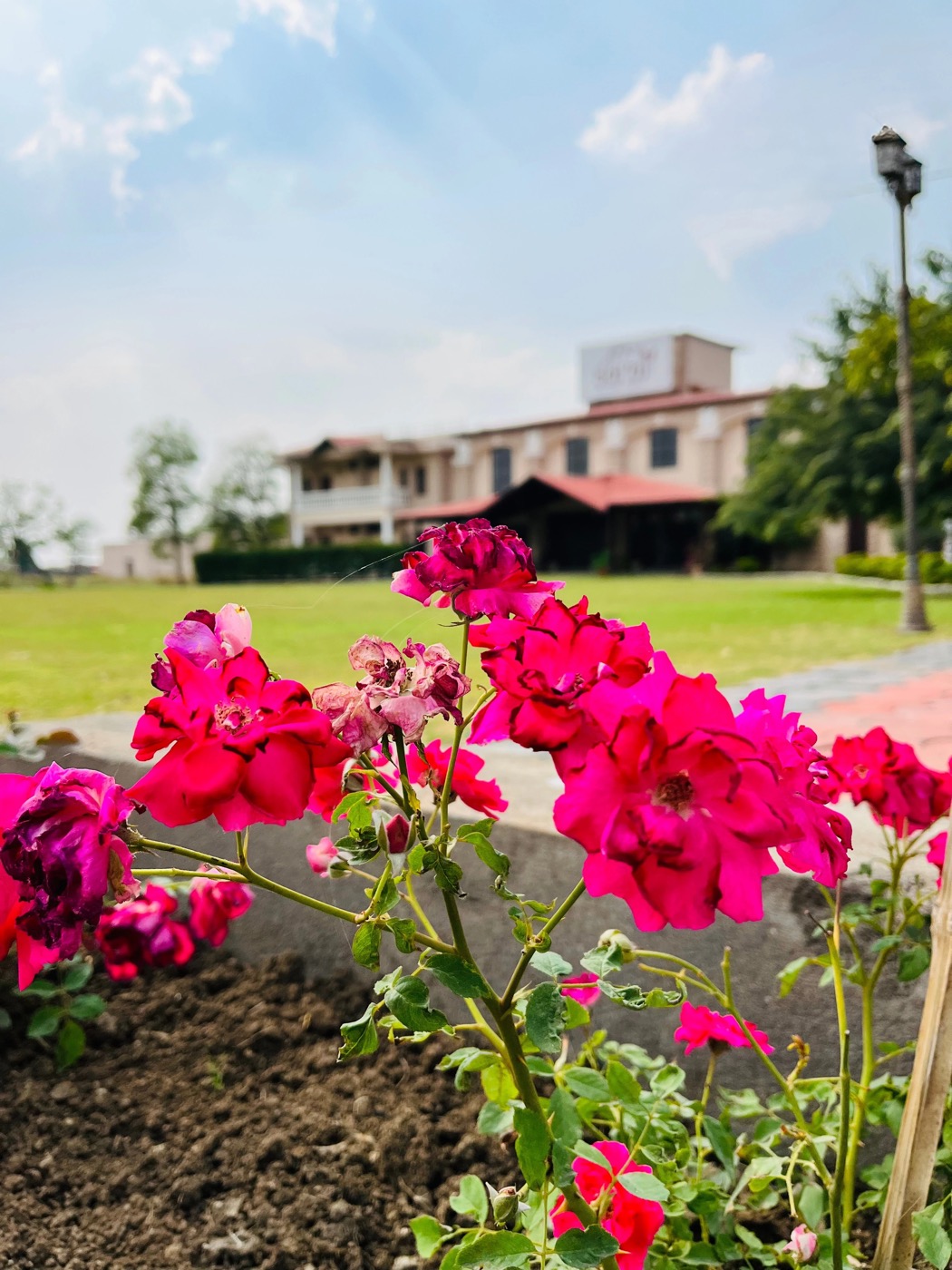 A serene stay experience at Sarai